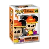 (PRE-ORDER) Funko Disney Trick Or Treat Minnie Mouse Pop! Vinyl Figure